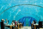 玻璃的水下餐厅